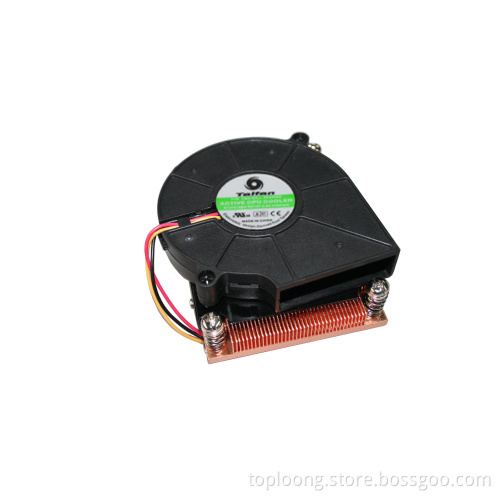 Typhoon 478 Active Radiator